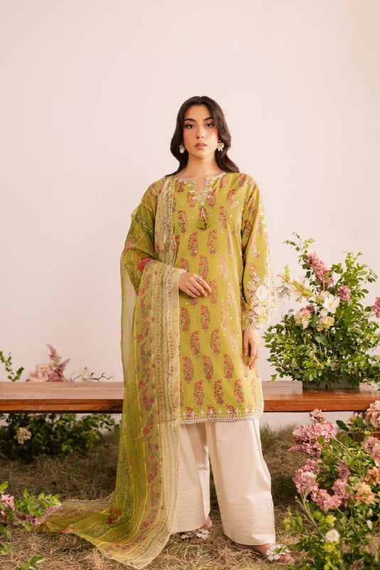 FANCY DUPPATA AND EMBROIDERY WORK - Vastra Gehna