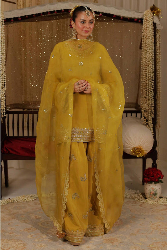 NEW ĐĚSIGNER PARTY WEAR TOP AND PLAZO - Vastra Gehna