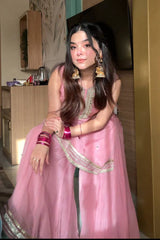 Tabby Organza With Lace Border - Vastra Gehna