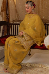NEW ĐĚSIGNER PARTY WEAR TOP AND PLAZO - Vastra Gehna